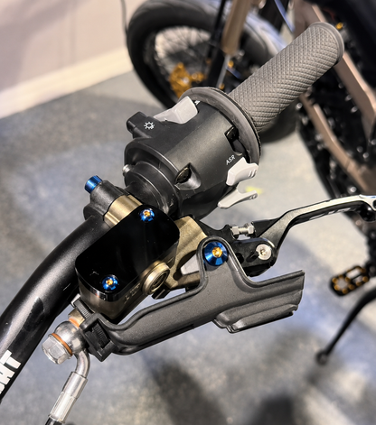 Ultra Bee Brake Lever Titanium Pivot Bolt